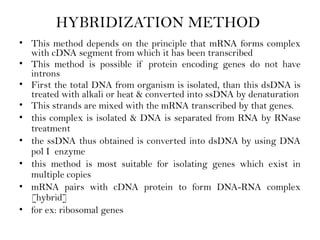 HYBRIDIZATION METHOD
• This method depends on the principle that mRNA forms complex
with cDNA segment from which it has been transcribed
• This method is possible if protein encoding genes do not have
introns
• First the total DNA from organism is isolated, than this dsDNA is
treated with alkali or heat & converted into ssDNA by denaturation
• This strands are mixed with the mRNA transcribed by that genes.
• this complex is isolated & DNA is separated from RNA by RNase
treatment
• the ssDNA thus obtained is converted into dsDNA by using DNA
pol I enzyme
• this method is most suitable for isolating genes which exist in
multiple copies
• mRNA pairs with cDNA protein to form DNA-RNA complex
[hybrid]
• for ex: ribosomal genes
 