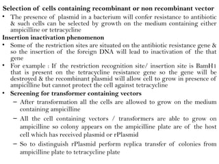 Selection of cells containing recombinant or non recombinant vector
• The presence of plasmid in a bacterium will confer resistance to antibiotic
& such cells can be selected by growth on the medium containing either
ampicilline or tetracycline
Insertion inactivation phenomenon
• Some of the restriction sites are situated on the antibiotic resistance gene &
so the insertion of the foreign DNA will lead to inactivation of the that
gene
• For example : If the restriction recognition site/ insertion site is BamH1
that is present on the tetracycline resistance gene so the gene will be
destroyed & the recombinant plasmid will allow cell to grow in presence of
ampicilline but cannot protect the cell against tetracycline
• Screening for transformer containing vectors
– After transformation all the cells are allowed to grow on the medium
containing ampicilline
– All the cell containing vectors / transformers are able to grow on
ampicilline so colony appears on the ampicilline plate are of the host
cell which has received plasmid or rPlasmid
– So to distinguish rPlasmid perform replica transfer of colonies from
ampicilline plate to tetracycline plate
 