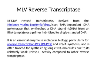 rDNA technology Enzymes.pptx - genetic engineering | PPTX