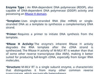 rDNA technology Enzymes.pptx - genetic engineering | PPTX