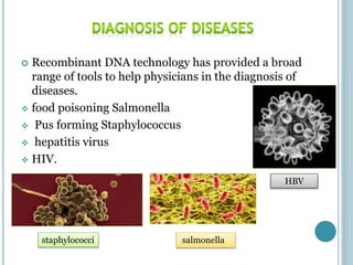  Recombinant DNA technology has provided a broad
range of tools to help physicians in the diagnosis of
diseases.
 food poisoning Salmonella
 Pus forming Staphylococcus
 hepatitis virus
 HIV.
HBV
staphylococci salmonella
 