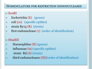NOMENCLATURE FOR RESTRICTION ENDONUCLEASES
 EcoRI
 Escherichia (E) (genus)
 coli (co) (specific epithet)
 strain Ry13 (R) (strain)
 first endonuclease (1) (order of identification)
 HindIII
 Haemophilus (H) (genus)
 influenzae (in) (specific epithet)
 strain Rd (d) (strain)
 third endonucleases (III)(order of identification)
 