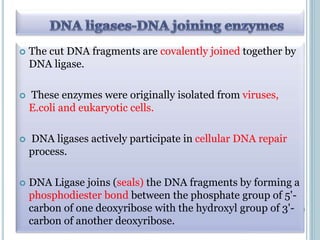  The cut DNA fragments are covalently joined together by
DNA ligase.
 These enzymes were originally isolated from viruses,
E.coli and eukaryotic cells.
 DNA ligases actively participate in cellular DNA repair
process.
 DNA Ligase joins (seals) the DNA fragments by forming a
phosphodiester bond between the phosphate group of 5'-
carbon of one deoxyribose with the hydroxyl group of 3'-
carbon of another deoxyribose.
 