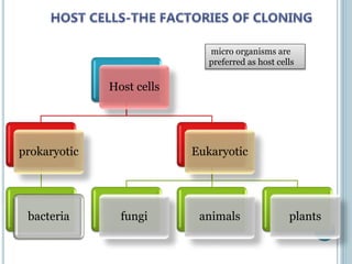 Host cells
prokaryotic
bacteria
Eukaryotic
fungi animals plants
micro organisms are
preferred as host cells
 
