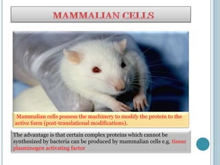 The advantage is that certain complex proteins which cannot be
synthesized by bacteria can be produced by mammalian cells e.g. tissue
plasminogen activating factor
Mammalian cells possess the machinery to modify the protein to the
active form (post-translational modifications).
 