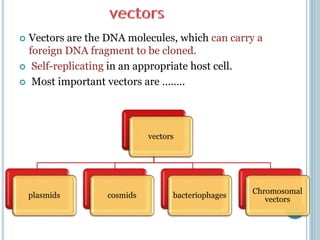  Vectors are the DNA molecules, which can carry a
foreign DNA fragment to be cloned.
 Self-replicating in an appropriate host cell.
 Most important vectors are ……..
vectors
plasmids cosmids bacteriophages
Chromosomal
vectors
 