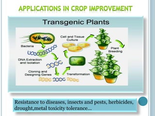 Resistance to diseases, insects and pests, herbicides,
drought,metal toxicity tolerance…
 