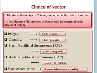  Phage 
 Cosmid 
 Plasmid artificial chromosome (PAC)
 Bacterial artificial chromosome (BAC)
 Yeast chromosome
E.Coli (5-25kb)
E.Coli (35-45kb)
E.Coli (100-300kb)
E.Coli (100 -300kb)
S. cerevisiae (200-2000kb)
 The size of the foreign DNA is very important in the choice of vectors.
 The efficiency of this process is often crucial for determining the
success of cloning.
 