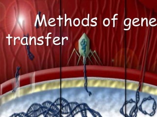 Methods of gene
transfer
 
