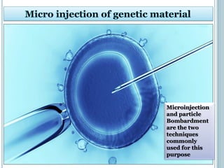 Microinjection
and particle
Bombardment
are the two
techniques
commonly
used for this
purpose
 