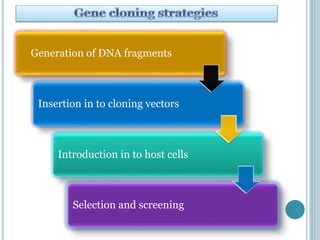 Generation of DNA fragments
Insertion in to cloning vectors
Introduction in to host cells
Selection and screening
 