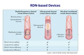 Renal Denervation in Resistant Hypertension 23.pptx