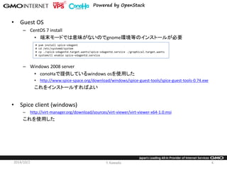 Openstack Spice Console Icehouse Verification