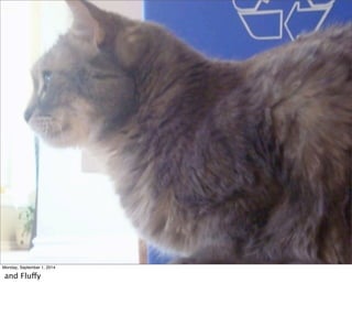Monday, September 1, 2014 
and Fluffy 
 