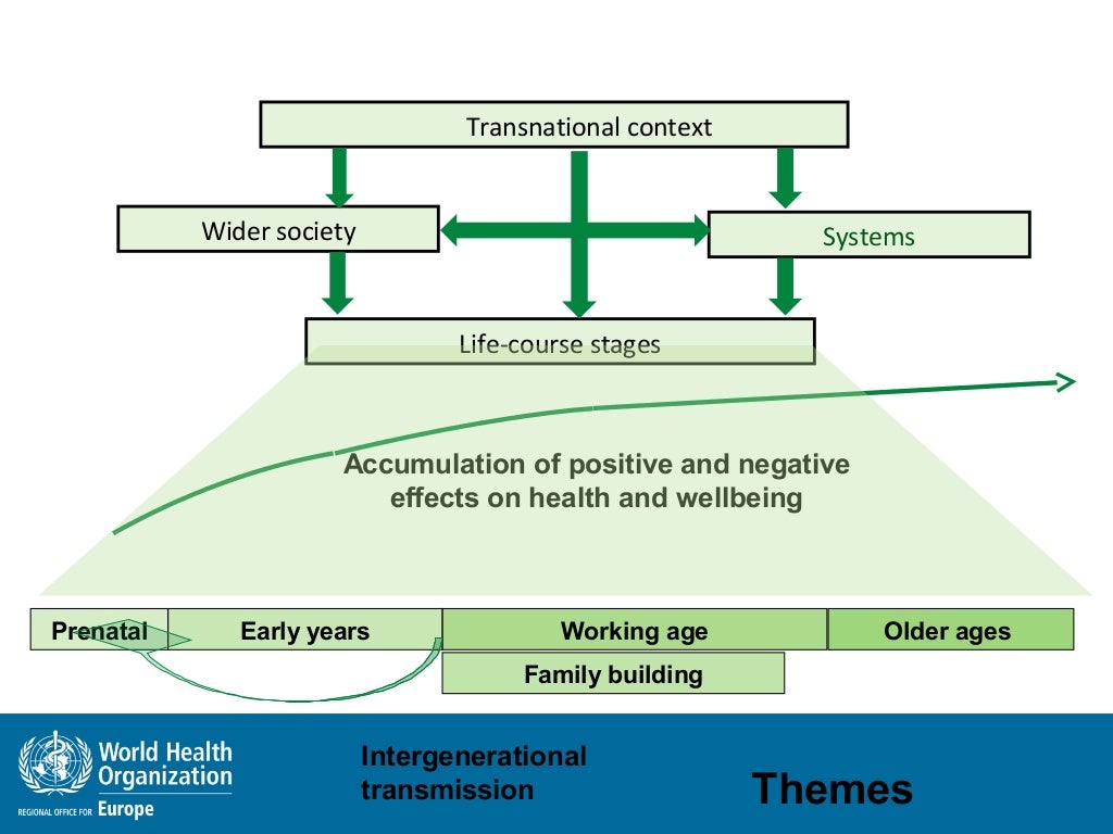 The Health of the Portuguese. Portugal National Health Plan, Revision…