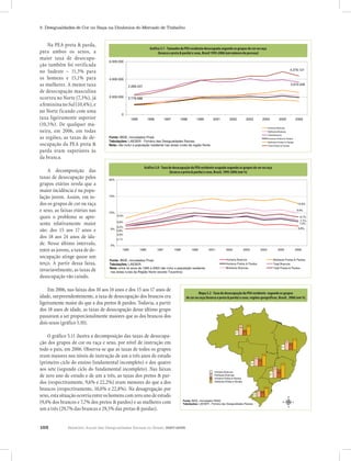 Relatório Anual das Desigualdades Raciais no Brasil; 2007-2008