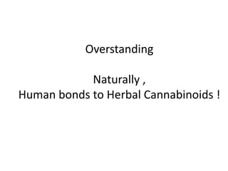 Overstanding
Naturally ,
Human bonds to Herbal Cannabinoids !
 