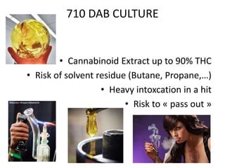 710 DAB CULTURE
• Cannabinoid Extract up to 90% THC
• Risk of solvent residue (Butane, Propane,…)
• Heavy intoxcation in a hit
• Risk to « pass out »
 