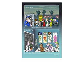 Cannabinoid and Harm Reduction among cannabis users 