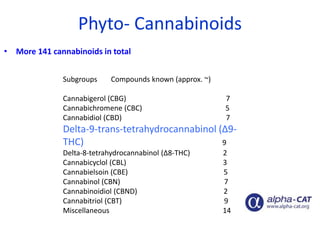 Subgroups Compounds known (approx. ~)
Cannabigerol (CBG) 7
Cannabichromene (CBC) 5
Cannabidiol (CBD) 7
Delta-9-trans-tetrahydrocannabinol (Δ9-
THC) 9
Delta-8-tetrahydrocannabinol (Δ8-THC) 2
Cannabicyclol (CBL) 3
Cannabielsoin (CBE) 5
Cannabinol (CBN) 7
Cannabinoidiol (CBND) 2
Cannabitriol (CBT) 9
Miscellaneous 14
Phyto- Cannabinoids
• More 141 cannabinoids in total
 