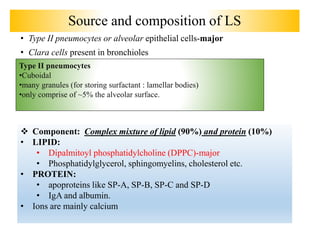 Source and composition of LS
• Type II pneumocytes or alveolar epithelial cells-major
• Clara cells present in bronchioles
Type II pneumocytes
•Cuboidal
•many granules (for storing surfactant : lamellar bodies)
•only comprise of ~5% the alveolar surface.
 Component: Complex mixture of lipid (90%) and protein (10%)
• LIPID:
• Dipalmitoyl phosphatidylcholine (DPPC)-major
• Phosphatidylglycerol, sphingomyelins, cholesterol etc.
• PROTEIN:
• apoproteins like SP-A, SP-B, SP-C and SP-D
• IgA and albumin.
• Ions are mainly calcium
 