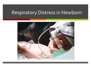 Respiratory Distress in Newborn
 