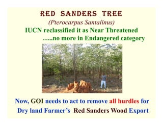 Red SandeRS TRee
(Pterocarpus Santalinus)
IUCN reclassified it as Near Threatened
…..no more in Endangered category
Now, GOI needs to act to remove all hurdles for
Dry land Farmer’s Red Sanders Wood Export
 