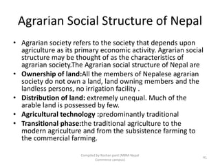 Rural social structure,Social change and continuity
