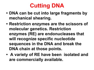 RECOMBINANT DNA TECHNOLOGY (Rdt) (RDT) [RDT] | PDF