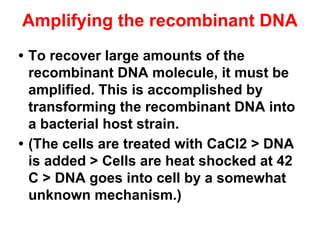 RECOMBINANT DNA TECHNOLOGY (Rdt) (RDT) [RDT] | PDF