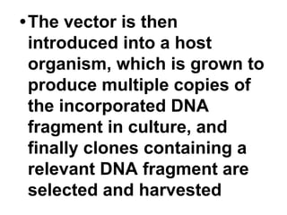RECOMBINANT DNA TECHNOLOGY (Rdt) (RDT) [RDT] | PDF