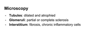 Microscopy
- Tubules: dilated and atrophied
- Glomeruli: partial or complete sclerosis
- Interstitium: fibrosis, chronic inflammatory cells
 