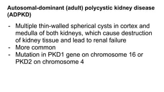 Tumours of kidney, cystic diseases - Medicine - RDT | PPTX