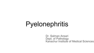 Pyelonephritis
Dr. Salman Ansari
Dept. of Pathology
Kanachur Institute of Medical Sciences
 
