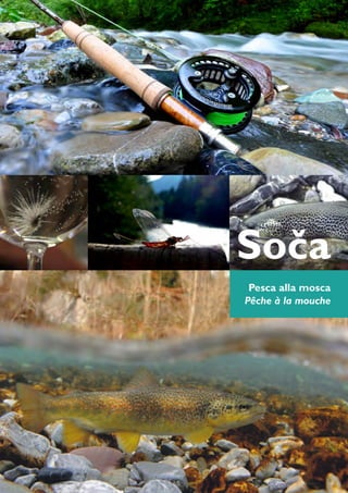 Soča
                                     Pesca alla mosca
                                    Pêche à la mouche




RDT Brosura 2012 itafra v4.indd 1                28.3.2012 14:30:28
 
