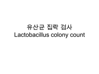유산균 집락 검사
Lactobacillus colony count
 