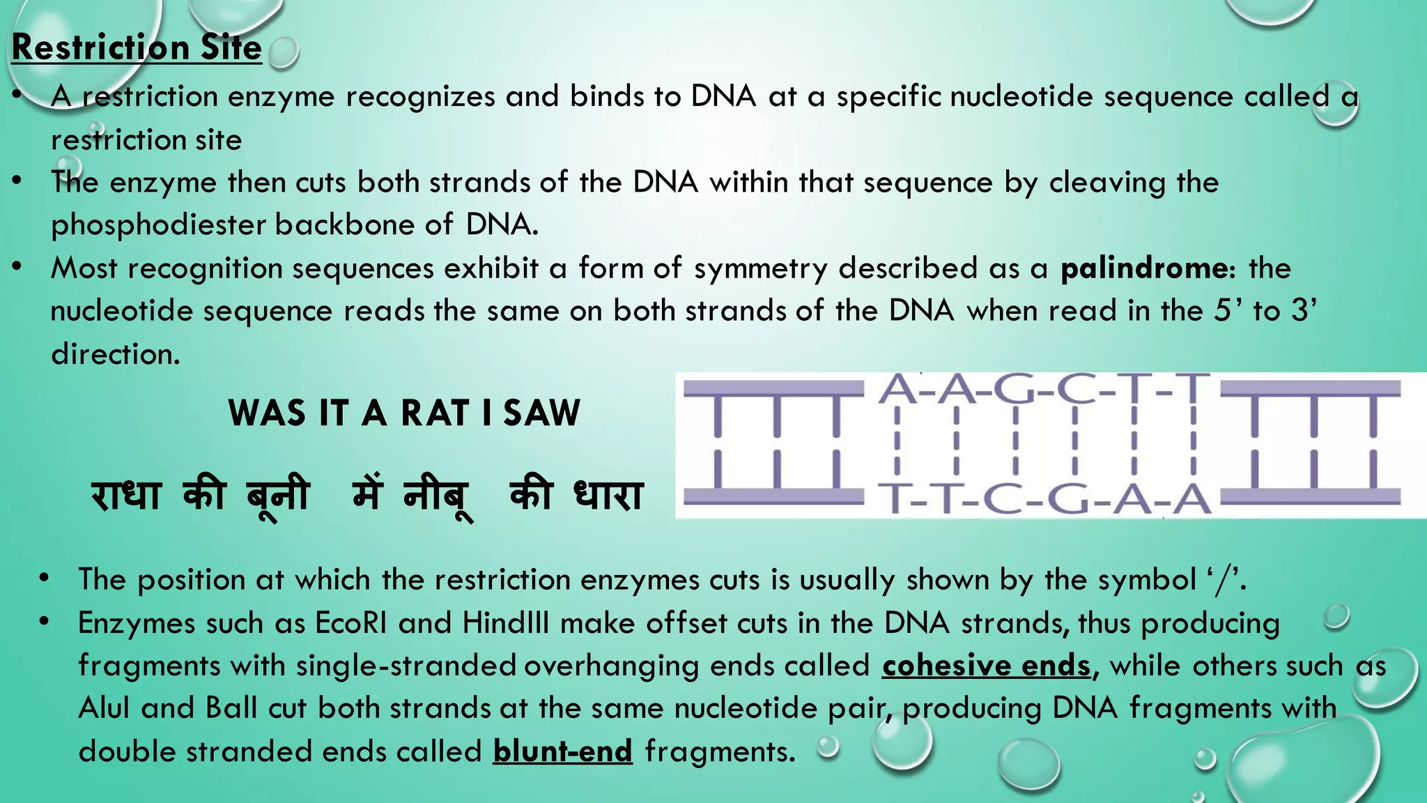 Recombinant DNA technology:- Restriction enzymes | PDF