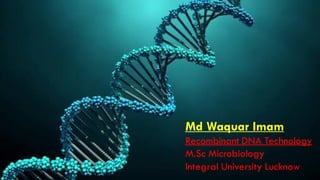 Md Waquar Imam
Recombinant DNA Technology
M.Sc Microbiology
Integral University Lucknow
 