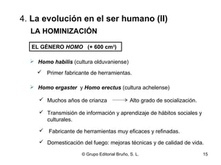4. La evolución en el ser humano (II) 
LA HOMINIZACIÓN 
EL GÉNERO HOMO (+ 600 cm3) 
 Homo habilis (cultura olduvaniense) 
 Primer fabricante de herramientas. 
 Homo ergaster y Homo erectus (cultura achelense) 
 Muchos años de crianza 
Alto grado de socialización. 
 Transmisión de información y aprendizaje de hábitos sociales y 
culturales. 
 Fabricante de herramientas muy eficaces y refinadas. 
 Domesticación del fuego: mejoras técnicas y de calidad de vida. 
© Grupo Editorial Bruño, S. L. 15 
 