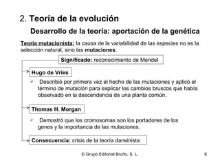 2. Teoría de la evolución 
Desarrollo de la teoría: aportación de la genética 
Teoría mutacionista: la causa de la variabilidad de las especies no es la 
selección natural, sino las mutaciones. 
Significado: reconocimiento de Mendel 
Hugo de Vries 
 Describió por primera vez el hecho de las mutaciones y aplicó el 
término de mutación para explicar los cambios bruscos que había 
observado en la descendencia de una planta común. 
Thomas H. Morgan 
 Demostró que los cromosomas son los portadores de los 
genes y la importancia de las mutaciones. 
Consecuencia: crisis de la teoría darwinista 
© Grupo Editorial Bruño, S. L. 8 
 