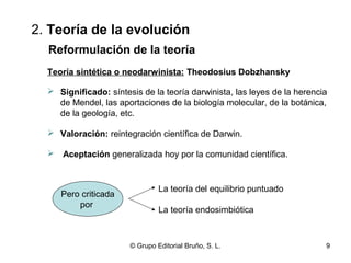 2. Teoría de la evolución 
Reformulación de la teoría 
Teoría sintética o neodarwinista: Theodosius Dobzhansky 
 Significado: síntesis de la teoría darwinista, las leyes de la herencia 
de Mendel, las aportaciones de la biología molecular, de la botánica, 
de la geología, etc. 
 Valoración: reintegración científica de Darwin. 
 Aceptación generalizada hoy por la comunidad científica. 
Pero criticada 
por 
La teoría del equilibrio puntuado 
La teoría endosimbiótica 
© Grupo Editorial Bruño, S. L. 9 
 