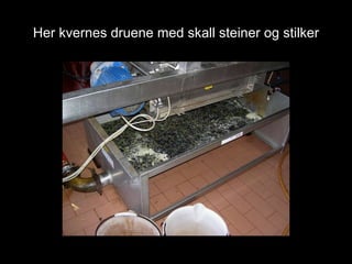 Her kvernes druene med skall steiner og stilker 