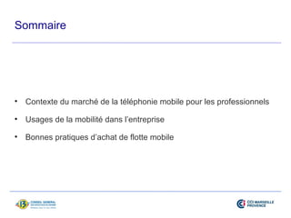 Sommaire 
• Contexte du marché de la téléphonie mobile pour les professionnels 
• Usages de la mobilité dans l’entreprise 
• Bonnes pratiques d’achat de flotte mobile 
 