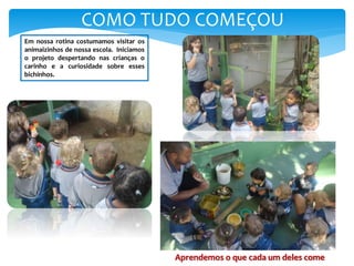 COMO TUDO COMEÇOU
Em nossa rotina costumamos visitar os
animaizinhos de nossa escola. Iniciamos
o projeto despertando nas crianças o
carinho e a curiosidade sobre esses
bichinhos.
Aprendemos o que cada um deles come
 