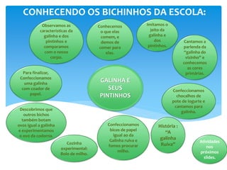 CONHECENDO OS BICHINHOS DA ESCOLA:
GALINHA E
SEUS
PINTINHOS
Observamos as
características da
galinha e dos
pintinhos e
comparamos
com o nosso
corpo.
Cantamos a
parlenda da
“galinha do
vizinho” e
conhecemos
as cores
primárias.
Conhecemos
o que elas
comem, e
demos de
comer para
elas.
Confeccionamos
chocalhos de
pote de Iogurte e
cantamos para
galinha.
Imitamos o
jeito da
galinha e
dos
pintinhos.
História :
“A
galinha
Ruiva”
Confeccionamos
bicos de papel
igual ao da
Galinha ruiva e
fomos procurar
milho.
Cozinha
experimental:
Bolo de milho.
Descobrimos que
outros bichos
também botam
ovos igual a galinha
e experimentamos
o ovo da codorna.
Para finalizar,
Confeccionamos
uma galinha
com coador de
papel.
Atividades
nos
próximos
slides.
 