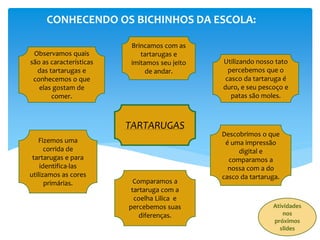 CONHECENDO OS BICHINHOS DA ESCOLA:
TARTARUGAS
Observamos quais
são as características
das tartarugas e
conhecemos o que
elas gostam de
comer.
Fizemos uma
corrida de
tartarugas e para
identifica-las
utilizamos as cores
primárias.
Descobrimos o que
é uma impressão
digital e
comparamos a
nossa com a do
casco da tartaruga.
Utilizando nosso tato
percebemos que o
casco da tartaruga é
duro, e seu pescoço e
patas são moles.
Brincamos com as
tartarugas e
imitamos seu jeito
de andar.
Comparamos a
tartaruga com a
coelha Lilica e
percebemos suas
diferenças.
Atividades
nos
próximos
slides
 