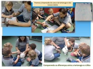 Tiramos a impressão do casco da tartaruga e dos
nossos dedos
Comparando as diferenças entre a tartaruga e a Lilica
 