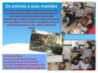 Os animais e suas mamães
Acabada a vivência indígena retomamos nosso olhar
aos animais de estimação e fomos descobrindo que,
como nós, todos os bichinhos tem mamãe!
Pesquisamos na internet figuras e vídeos de mamães
com seus filhotes. Recordamos que galinha da escola
teve lindos pintinhos e que cuidava muito bem
deles!!
E nossas mamães?
Como são, o que fazem por nós,
O que gostamos de fazer juntinho
Com elas? Introduzimos o trabalho com
o papel da mamãe na vida dos pequenos
 