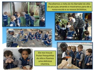 Recebemos a visita do tio Barnabé do sítio
do pica pau amarelo e mostramos para ele a
nossa escola e os nossos bichinhos.
Ele nos trouxe
frutas fresquinhas
do sítio e fizemos
uma deliciosa
vitamina.
 