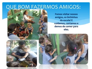 QUE BOM FAZERMOS AMIGOS:
Fomos visitar nossos
amigos, os bichinhos
da escola! E
cuidamos, cantamos e
demos de comer para
eles.
 